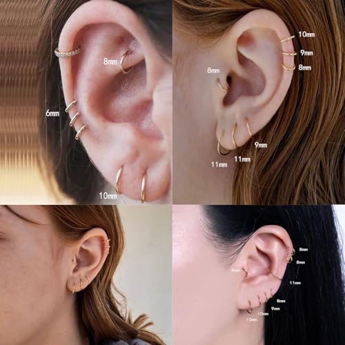 2Pcs Women Men Titanium Nose Rings Hoops 20G 18G 16G 14G 12G Hinged Nose Clicker for Nostril Septum Cartilage Helix Tragus Conch Daith Rook Lip Ear Lobe Piercings Diameter 6mm/7mm/8mm/9mm/10mm/11mm/12mm/14mm/16mm Sliver-Gold-Black-Rose Gold - color: Gold,
