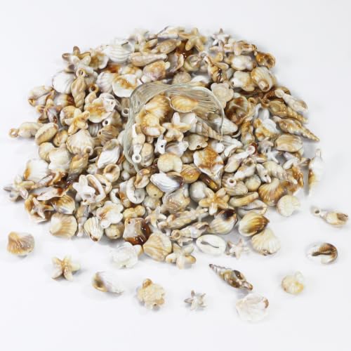 Acrylic Shell Beads 100 Pcs with Big Hole – Faux Seashell Spacer Beads, Natural Look Ocean Starfish Snail Conch Scallop Turtle Charms for Summer DIY Necklace Bracelet Earring Jewelry Making