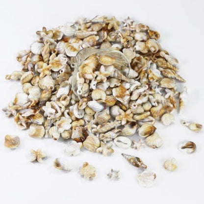 Acrylic Shell Beads 100 Pcs with Big Hole – Faux Seashell Spacer Beads, Natural Look Ocean Starfish Snail Conch Scallop Turtle Charms for Summer DIY Necklace Bracelet Earring Jewelry Making