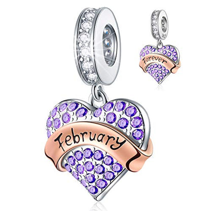 EMOSTAR Jan-Dec Birthstone Charms fits European Birthday Bracelet, Dangle 925 Sterling Silver Heart Shaped Pendant with 12 Months Birthstones, Gifts for Mom/Women - color: February Birthstone