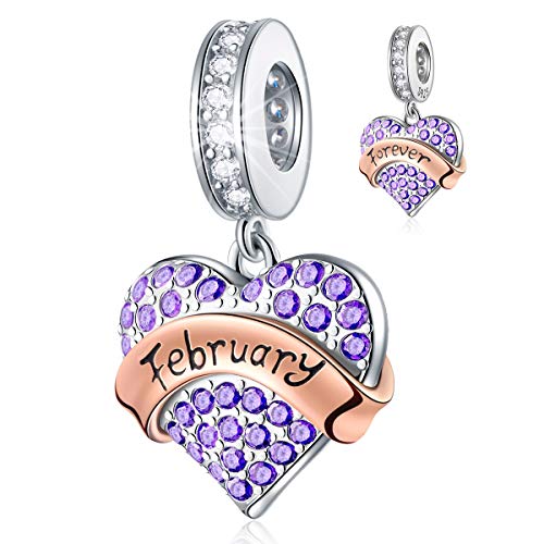 EMOSTAR Jan-Dec Birthstone Charms fits European Birthday Bracelet, Dangle 925 Sterling Silver Heart Shaped Pendant with 12 Months Birthstones, Gifts for Mom/Women - color: February Birthstone