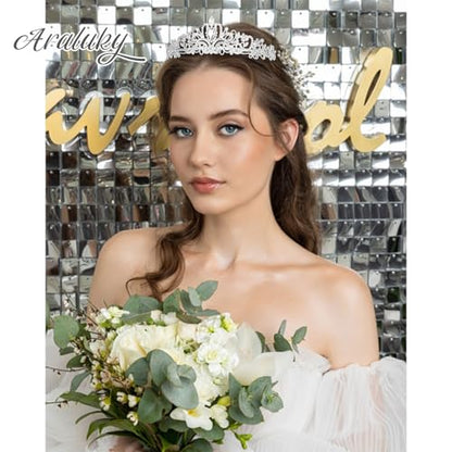 Crystal Tiara Crown Headband Princess Elegant Tiara with Combs for Women Young Ladies Bridal Wedding Prom Birthday Party, Silver - color: Silver