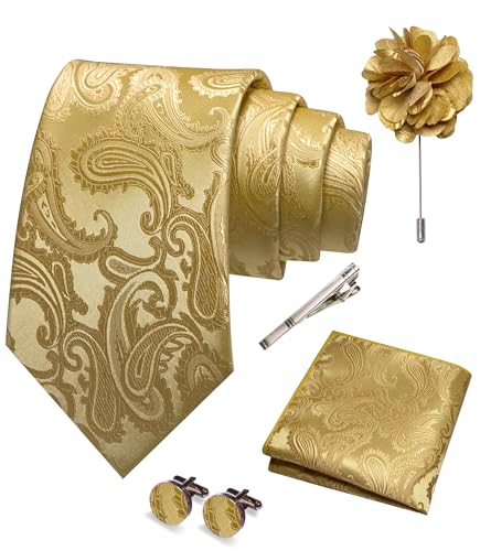 JEMYGINS Mens Paisley Tie and Pocket Square,Lapel Pin,Cufflinks,Tie Clip Sets with Gift Box 5PCS - color: 5gold