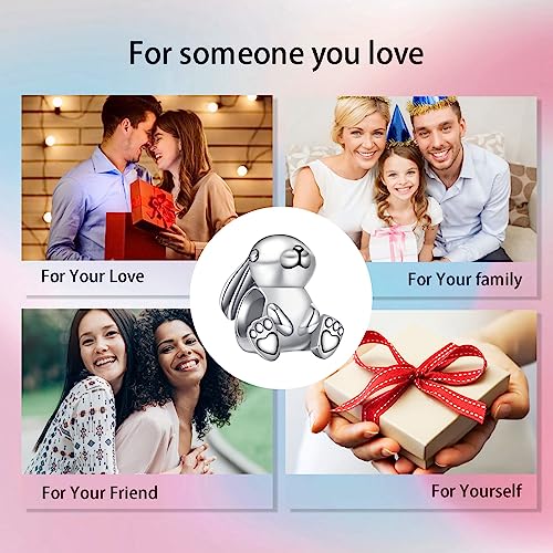 Bible Family Mom Wife Love Heart Dangle Charm 925 Sterling Silver Charms fits Bracelets and Necklace Pendant Bead Charms Jewelry Present for Women Family Friends - style: Cute Rabbit Charm