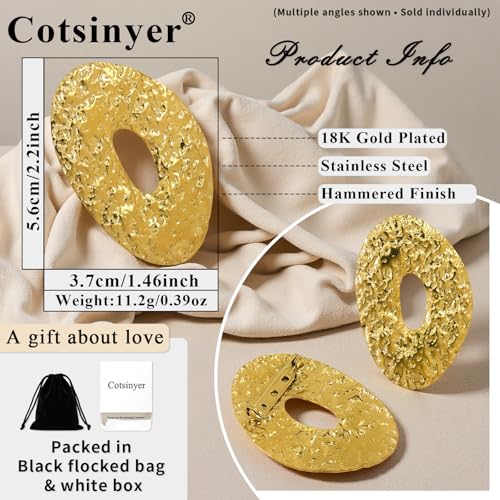 Stainless Steel Brooch Pin for Women & Men,Lapel Pin | Minimalist Statement Elegant Geometric, Sweaters Coat Suit Shawl Collar Shirt Coat Jacket Hat Dress Swim, Velvet Bag & Box - style: Hammered-Gold
