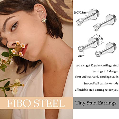 FIBO STEEL 12 Pairs 20G Cartilage Earrings Stud for Women Men Stainless Steel Tiny 2mm & 3-8mm Studs CZ Round Ball Flatback Earring Set