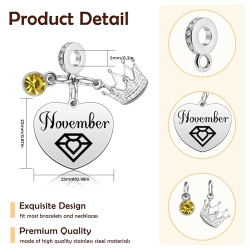Birthday Gifts for Women Birthstone Charms for Bracelets Necklaces Jewelry Gift for Mom Wife Daughter Granddaughter Niece Sister Girlfriend - color: November