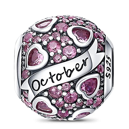 HappyStar 925 Sterling Silver Month Birthstone Charm for Bracelets Necklace，with 5A Cubic Zirconia Dangle Pendant Bead,Happy Birthday Valentine's Day - color: 10-October Birthstones