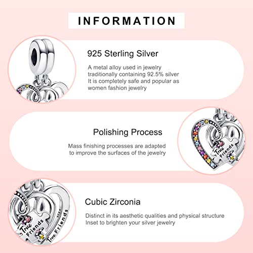 MITSOKU 925 Sterling Silver Charms for Bracelets Necklaces Animal prototype Pendant Safety Chain Dangle Pendants Beads Christmas Day Charms Jewelry Gift for Women - style: Friends Heart Double Pendant