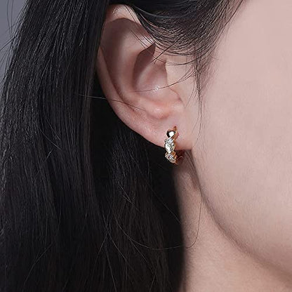 CiNily 14K White Gold Plated Small Hoop Earrings for Women Girls Heart Cubic Zirconia Hypoallergenic Earrings - color: Gold-white