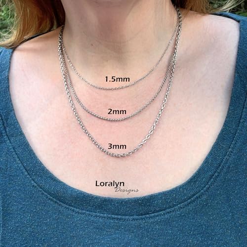 Loralyn Designs 2mm Titanium Stainless Steel Rolo Chain Necklace Lobster Clasp Closure (16-24 Inch)