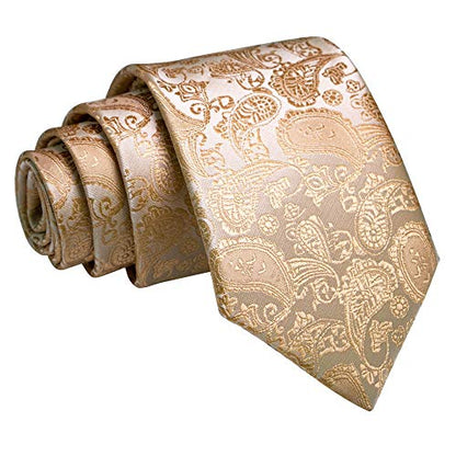 JEMYGINS Mens Solid Color Paisley Necktie and Pocket Square with Tie Clip Sets - color: Champagne