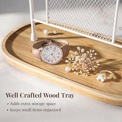 bussdis Jewelry Holder Organizer Earring Display - Earring Storage Tree Stands Towers With 6 Hooks 300 Studs Wood Tray White Metal Rack - color: White