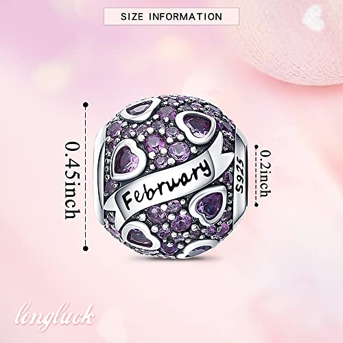 925 Sterling Silver Birthstone Charms fits Charms Bracelets for Woman，with 5A Cubic Zirconia Dangle Pendant Bead,Happy Birthday Charms for Bracelet and Necklace Valentine's Day Mother's Day Gift - color: 1-February Birthstones