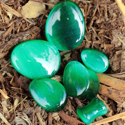 Pierced Owl - Natural Green Cat's Eye Stone Double Flared Tear Drop Plugs, Sold as a Pair - style: 10mm (00GA)
