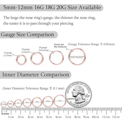 2Pcs Titanium Nose Rings 20G 18G 16G 14G Nose Rings Hoops Diameter 5mm to 12mm Silver-Gold-Rose Gold-Black Cartilage Helix Tragus Daith Rook Hoop Earrings Hinged Segment Septum Clicker Body Piercing Jewelry - color: Rose Gold