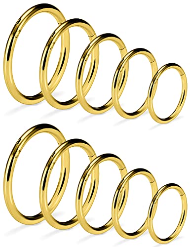 Vsnnsns 14G 16G Septum Nose Rings Hoops Lip Ring Piercing Jewelry 316L Surgical Steel Hinged Segment Clicker Cartilage Tragus Helix Conch Rook Daith Lobe Earrings Hoops Piercing Jewelry for Women Men - color: 16G-Gold