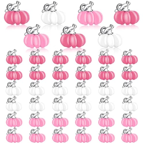 60Pcs Fall Charms, Pink White Pumpkin Charms for Jewelry Making | Alloy Enamel, Thanksgiving DIY Crafts and Gifts, Autumn Earring Necklace Bracelet Making, Harvest Celebration Party Supplies - style: Pink Pumpkin Style