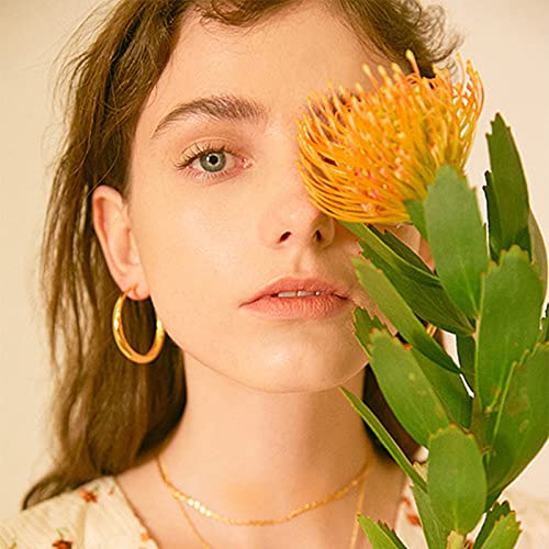 IFKM 24 Pairs Gold Hoop Earrings Set for Women Hypoallergenic Chunky Chain Twisted Open Hoops Dangle Earring Packs for Birthday Party Christmas Fashion Jewelry Gift - color: 24 Pairs Gold