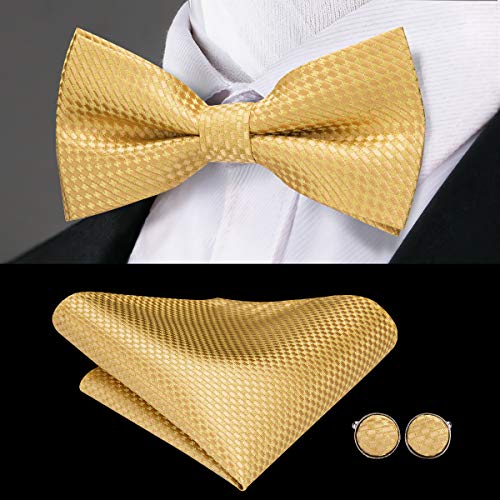 Hi-Tie 5Pcs Mens Solid Color Silk Tie Satin Pretied Bowtie Lapel Pin for Men Handkerchief Cufflink Wedding Gift Box - color: Gold Set