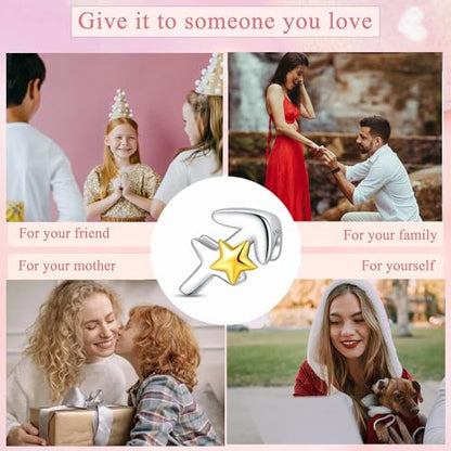 925 Sterling Silver 12 Astrological Signs Charm for Bracelets and Necklace Happy Birthday Charms for Bracelet and Necklace Valentine's Day Mother's Day Gift - style: Sagittarius Charm