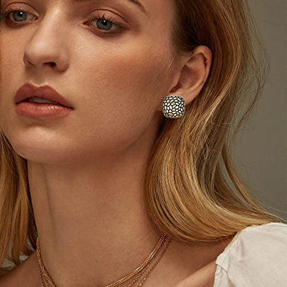 FANZE 2 Pairs Matte Gold Sliver Clip on Earrings for Women No Piercing | No Piercing Button Earring Comfortable Fashion Jewelry Gift - color: Set-6