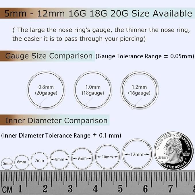2Pcs Titanium Nose Rings 20G 18G 16G 14G Nose Rings Hoops Diameter 5mm to 12mm Silver-Gold-Rose Gold-Black Cartilage Helix Tragus Daith Rook Hoop Earrings Hinged Segment Septum Clicker Body Piercing Jewelry - color: Silver