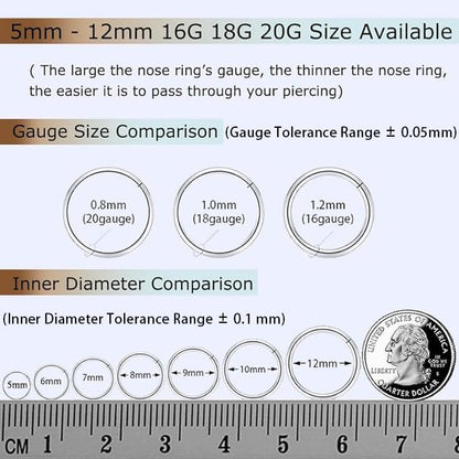 2Pcs Titanium Nose Rings 20G 18G 16G 14G Nose Rings Hoops Diameter 5mm to 12mm Silver-Gold-Rose Gold-Black Cartilage Helix Tragus Daith Rook Hoop Earrings Hinged Segment Septum Clicker Body Piercing Jewelry - color: Silver
