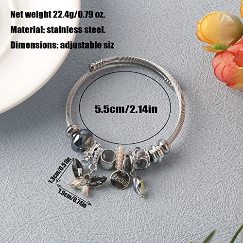 DS Charm Bracelets for girls,exquisite cute cartoon friendship bracelets Silver Stainless Steel Bangle with birthday Gift box, Adjustable girls jewelry Suitable for holiday gifts - style: Silver-gray butterfly