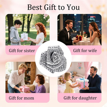 925 Sterling Silver Bead Charm for Pandora Bracelets and Necklaces,Pink Bow Cherry Butterfly Blue Ocean Pendant Bead Charms Jewelry Present Valentines Gifts for Wife/Girlfriend Women - style: Big Silver Sparkling Rose