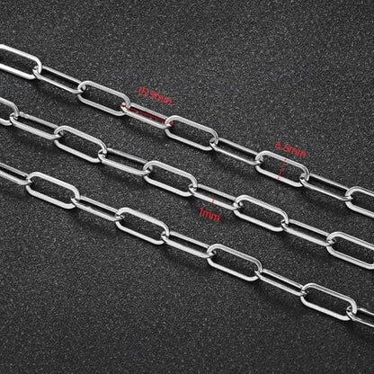 UMAOKANG 6.6 Feet Stainless Steel Chains for Jewelry Making Paperclip Link Craft Chain Roll with Jump Rings and Lobster Clasps - color: Paperclip Silver