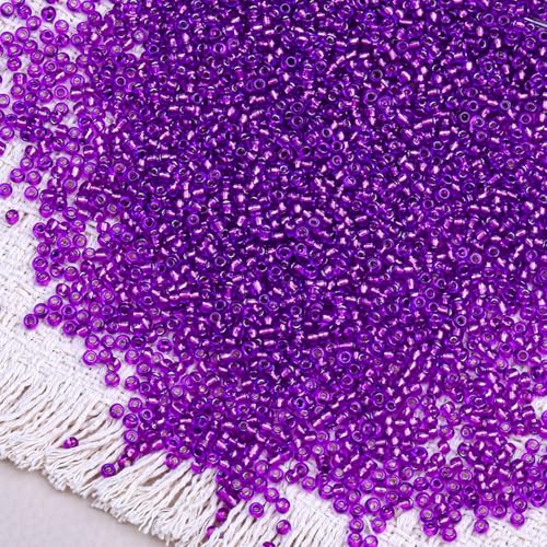 2000pcs Glass Seed Beads Bulk, 4mm 6/0 Mini Pony Spacer Small Individual Color Seed Beads for DIY Bracelet Necklaces Wrist Jewelry Making, Frosted Silver Purple - color: Frosted Silver Purple