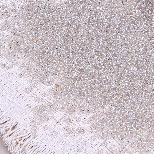 2000pcs Glass Seed Beads Bulk, 4mm 6/0 Mini Pony Spacer Small Individual Color Seed Beads for DIY Bracelet Necklaces Wrist Jewelry Making, Frosted Silver White - color: Frosted Silver White
