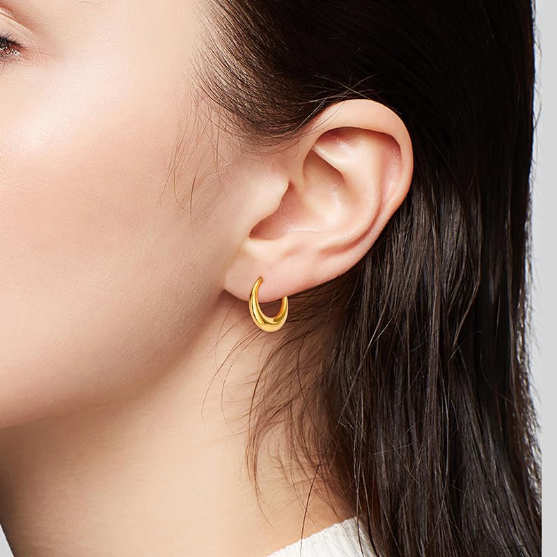 Cartilage Daith Earrings For Women Small 14K Gold Plated Hoop Hypoallergenic Helix Piercing Huggie Surgical Steel Diamond Implant Cubic Zirconia Prom Gift Jewelry - color: Style10-Silver, size: 16g-10mm