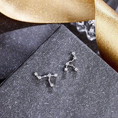 925 Sterling Silver CZ Horoscope Zodiac 12 Constellation Astrology Ear Crawler Post Earrings Gift for Mom Women Mothers Day/Valentines Day/Birthday/Christmas/Anniversary - style: Leo (Jul 23 - Aug 22)