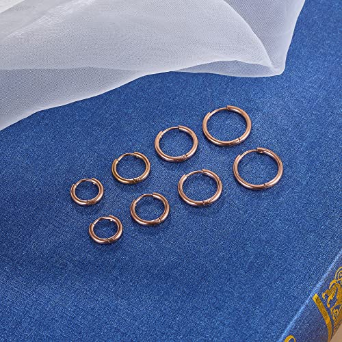 316L Surgical Stainless Steel Small Hoop Earrings 8mm 10mm 12mm 14mm Hypoallergenic Huggie Hoop Earrings Helix Lobes Hinged Sleeper Earrings Cartilage Piercings - color: J: Rose Gold (Diameter 8mm/10mm/12mm/14mm),4 Pairs