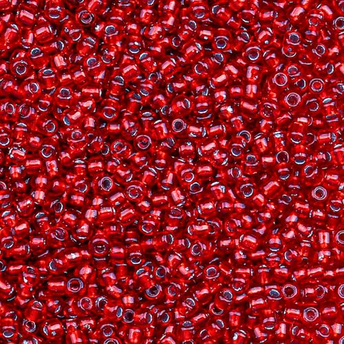 2000pcs Glass Seed Beads Bulk, 4mm 6/0 Mini Pony Spacer Small Individual Color Seed Beads for DIY Bracelet Necklaces Wrist Jewelry Making, Frosted Silver Red - color: Frosted Silver Red