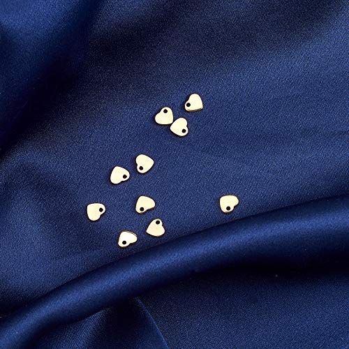 LiQunSweet 100 Pcs 304 Stainless Steel Pendants Tiny Double Side DIY Sweet Heart Pendants Charms for Bracelet Jewelry Making 6mm (0.24 Inch) - color: Heart Charms_6mm