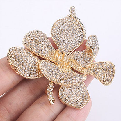 EVER FAITH Women's Austrian Crystal Orchid Flower Petal Brooch - color: Clear Gold-Tone