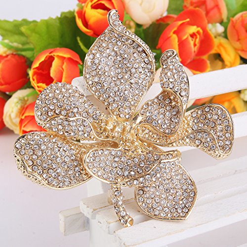 EVER FAITH Women's Austrian Crystal Orchid Flower Petal Brooch - color: Clear Gold-Tone