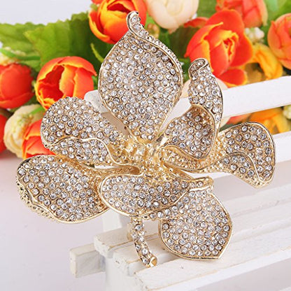 EVER FAITH Women's Austrian Crystal Orchid Flower Petal Brooch - color: Clear Gold-Tone
