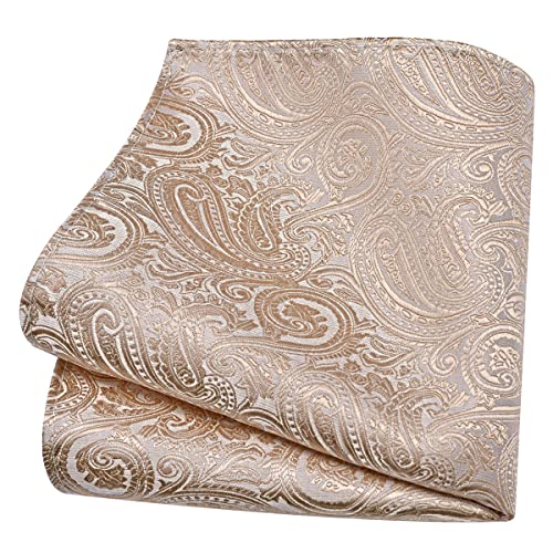 GUSLESON 3.15"（8cm） Mens Tie and Lapel Pin Paisley Necktie Hankerchief Cufflinks Set for Men - color: Champagne